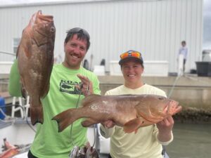 big red grouper after spear fishing